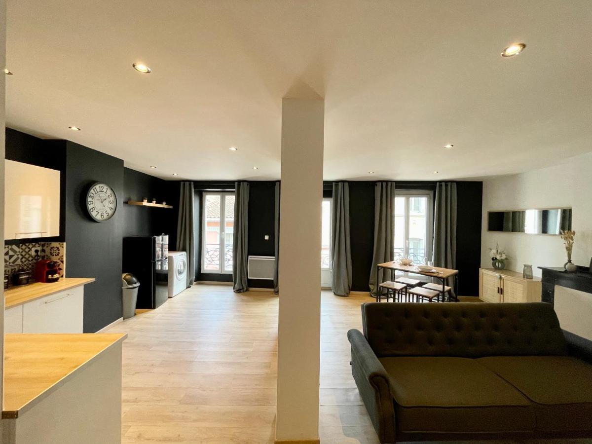 Spacieux Appartement Lumineux Coeur De Ville Pamiers Ngoại thất bức ảnh